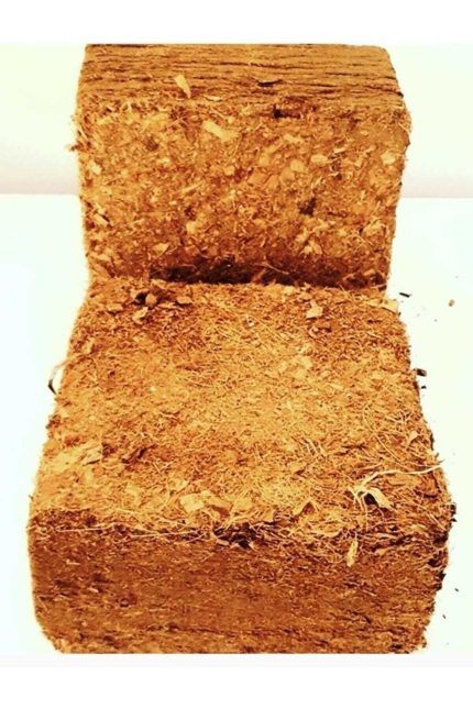Coco Peat Blok 5 Kg Preslenmiş 65 Lt Hacim Hindistan Cevizi Kabuğu Lifi Preslenmiş Torf