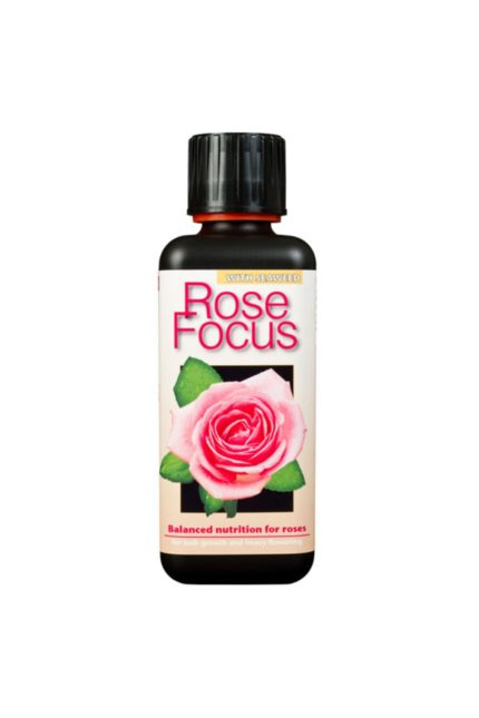 Rose Focus 300 ml