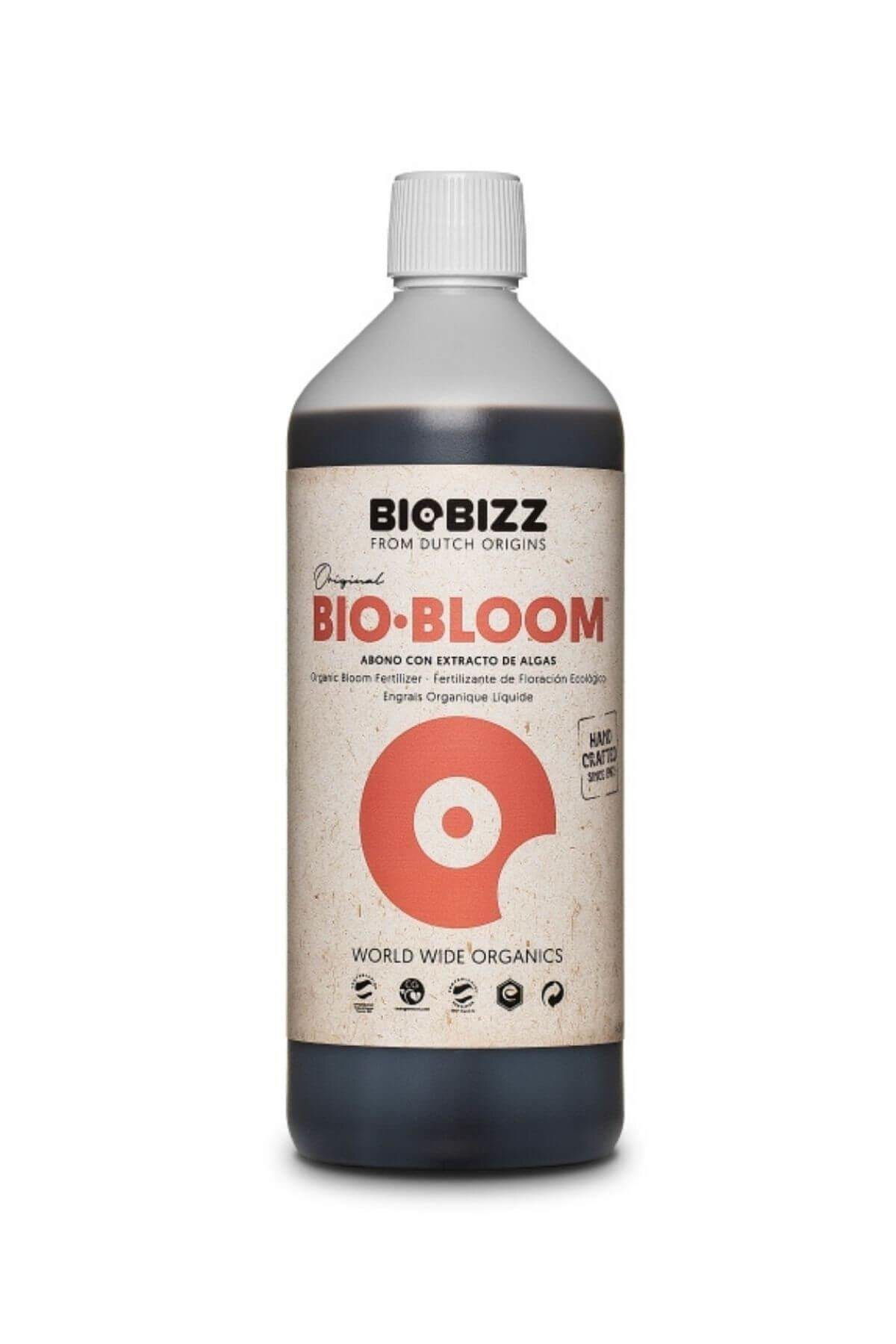 BBB10