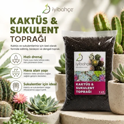 Kaktus Sukulent Topragi Tanitim Afisi