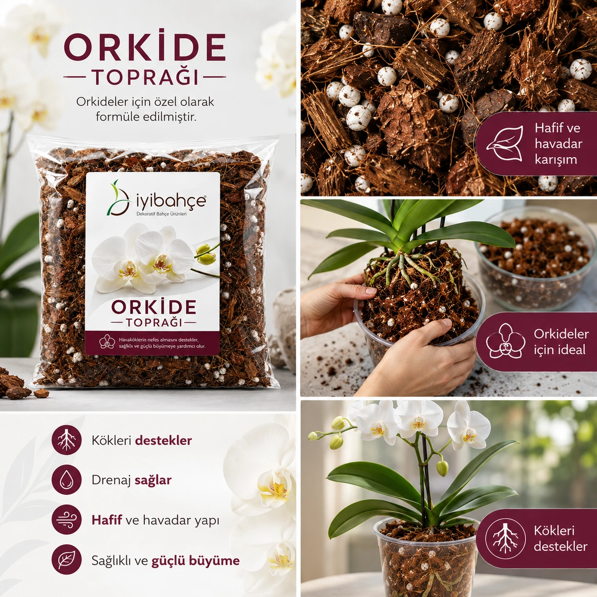 Orkide Topragi Kullanim Alanlari Orkide Topragi Kullanim Alanlari